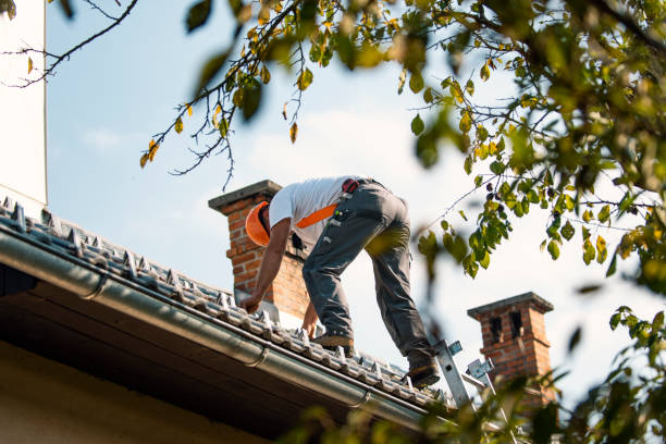 Best Local Roofing Companies  in Garden Plain, KS